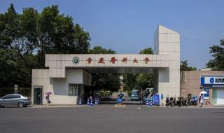 重庆医科大学排名